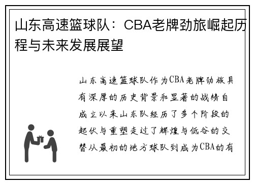 山东高速篮球队：CBA老牌劲旅崛起历程与未来发展展望